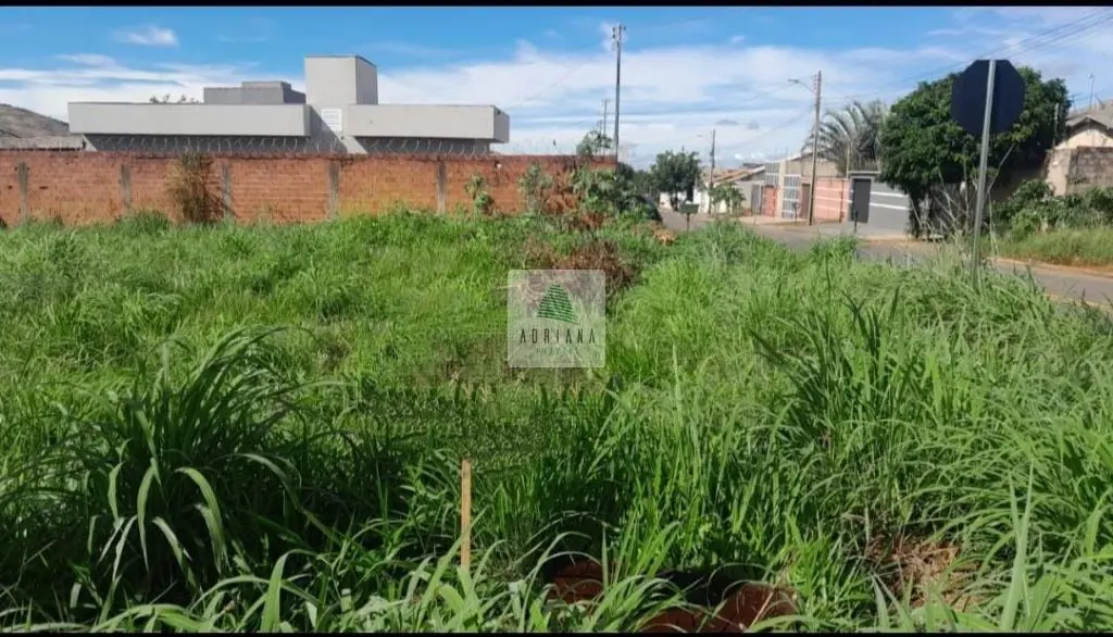 terreno com área de 200 m² sendo 10 x 20 05/07/24