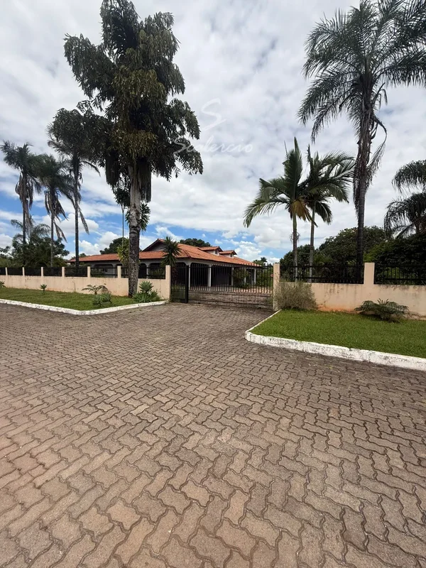 Imagine abrir o portão de casa e encontrar algo cada vez mais raro no mercado: e...