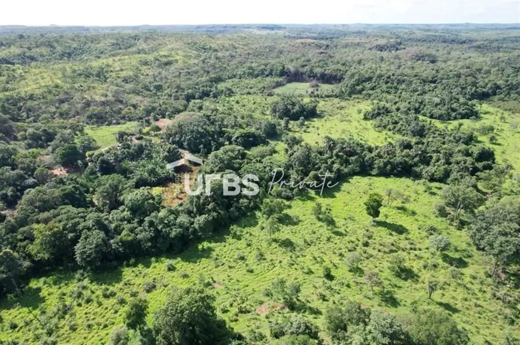 COD U-0007120 - Fazenda CaliforniaPropriedade Rural no Estado de Tocantins, muni...