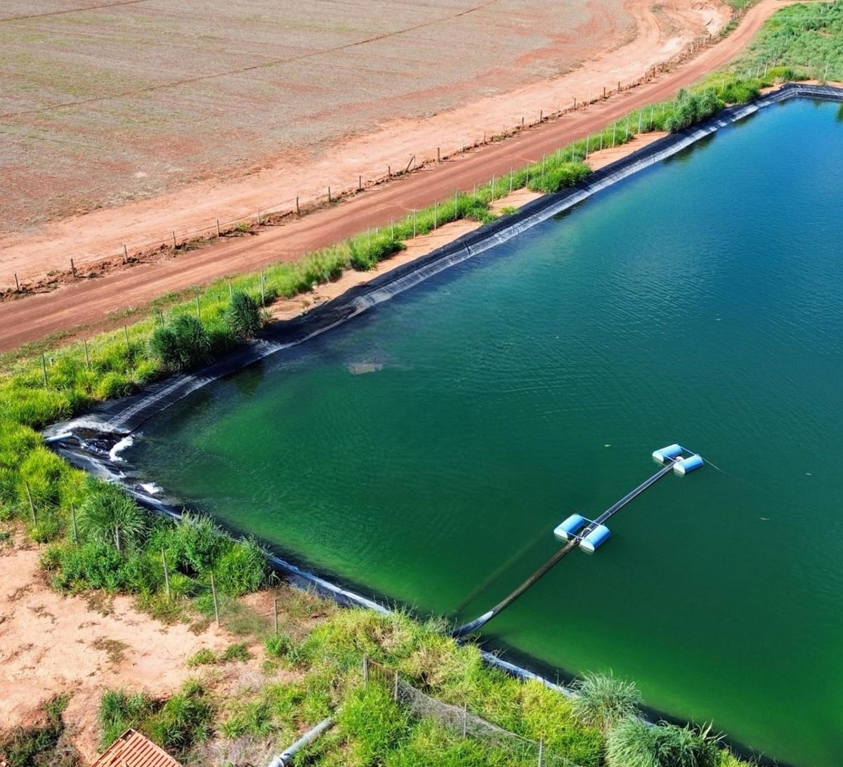 Rural Venda Em Arinos Arinos R 13 000 000 00 497 00 Ha ID 