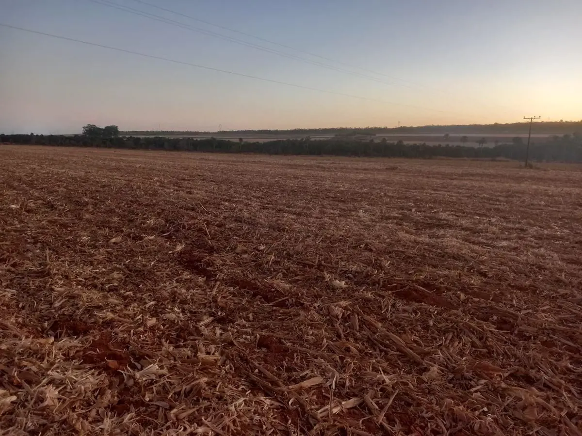 Excelente fazenda com 3.500 hectares, destes 2.500 hectares formados em capim, c...