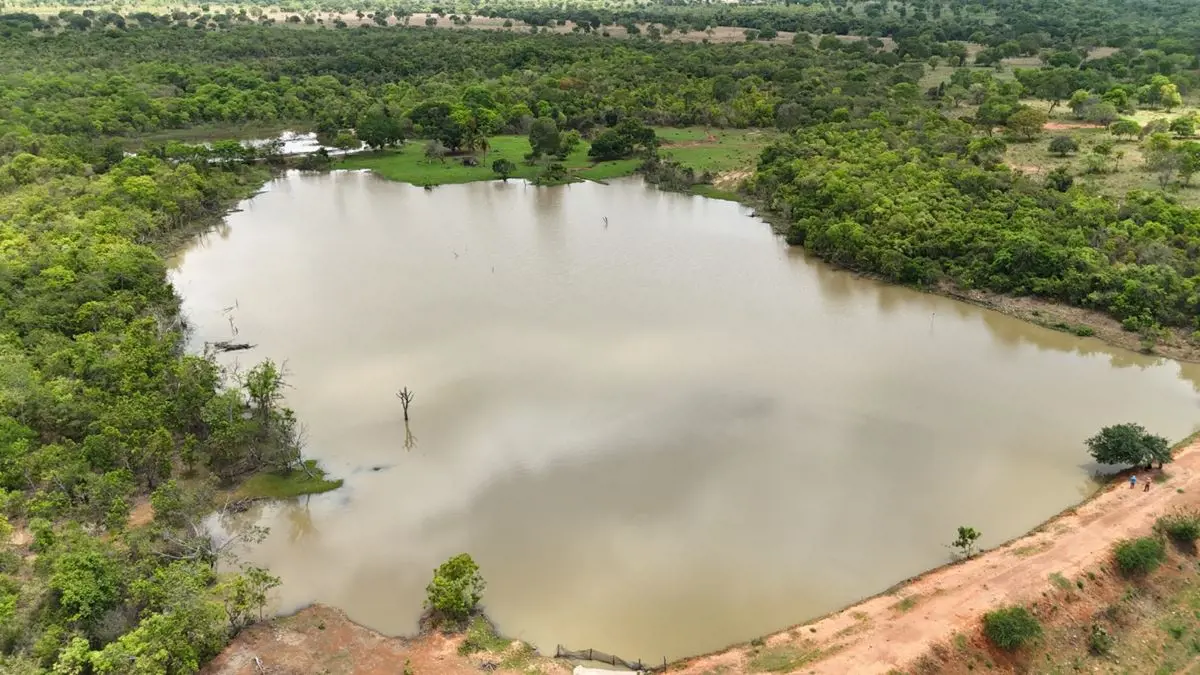 FAZENDA EM NOVA ROMA GOIÁS.* Área total de 202 Alqueires (979,48 ha)* 24 divisõe...