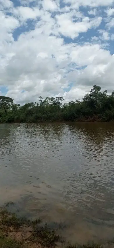 Vende-se área as margens do lago dos tigres, toda formada com braquiária e humid...