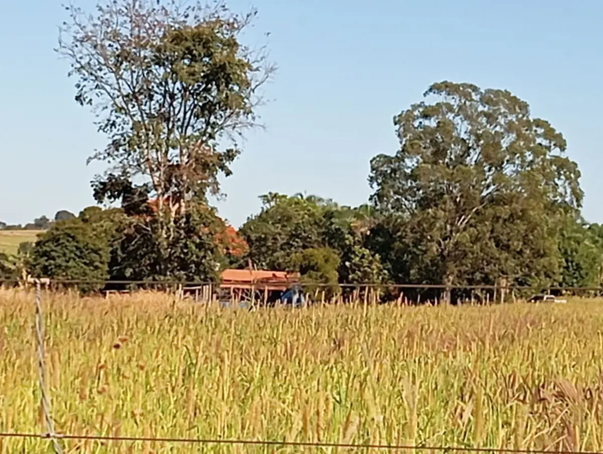 A Chácara fica em torno de 5 alqueires arrendado para soja e o restante com past...