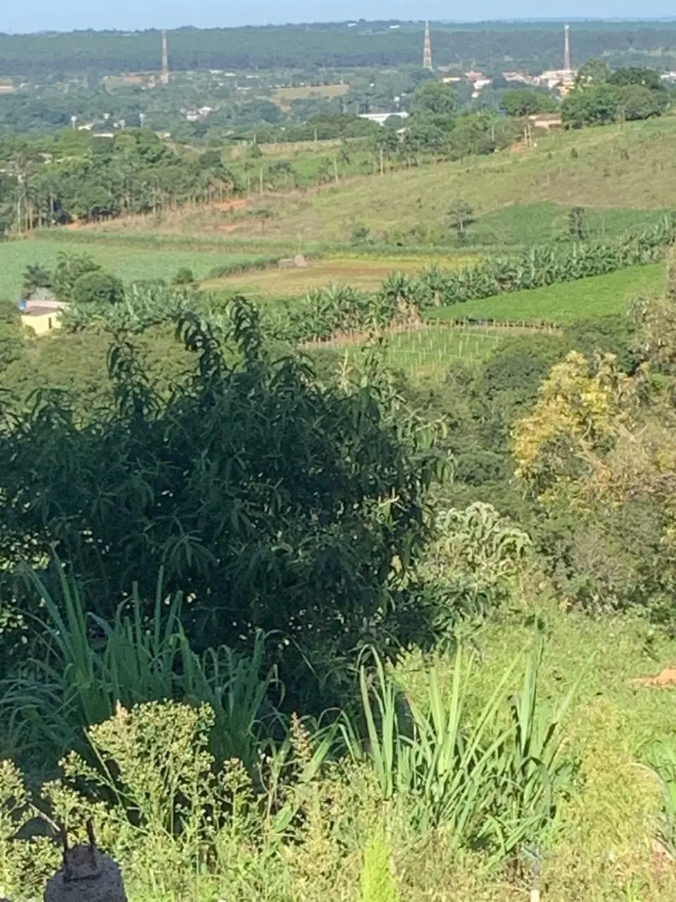 Vende-se: Área Rural em Chapadinha – BrazlândiaExcelente oportunidade de investi...