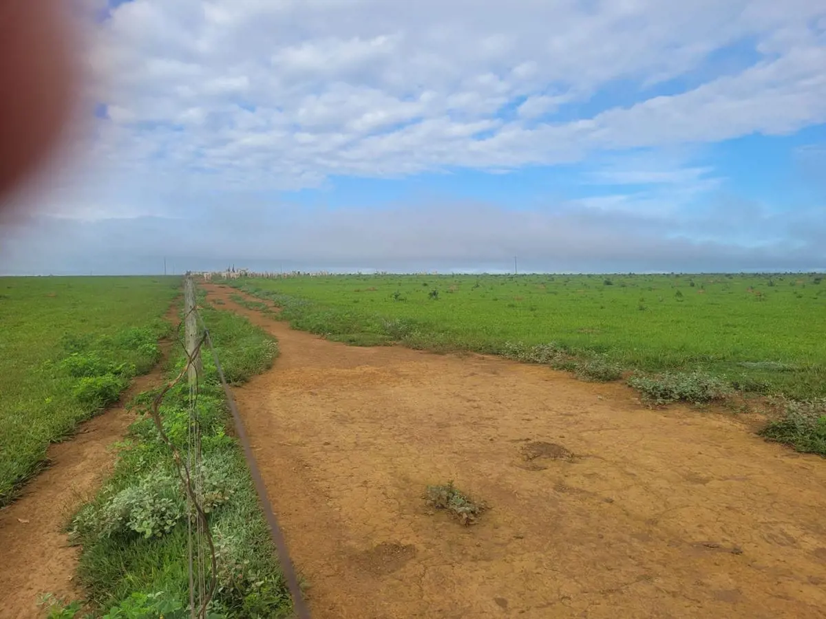 Fazenda excelente em Piracanjuba GO, dupla aptidão 170 alqueires ou 823 hectares...