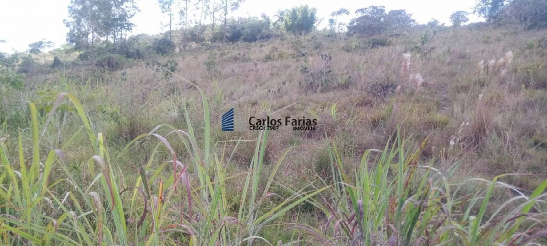 CAPÃO COMPRIDO ÁREA RURAL DE SÃO SEBASTIÃO EXCELENTE CHACARA DE 20.000M² PROXIMO...