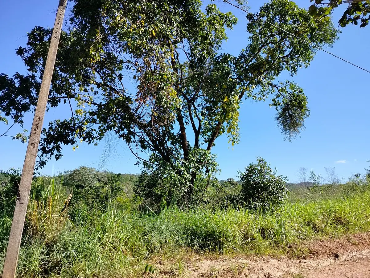 Linda Chácara de 2 hectares, condomínio mansões Park Brasília Oportunidade de ne...