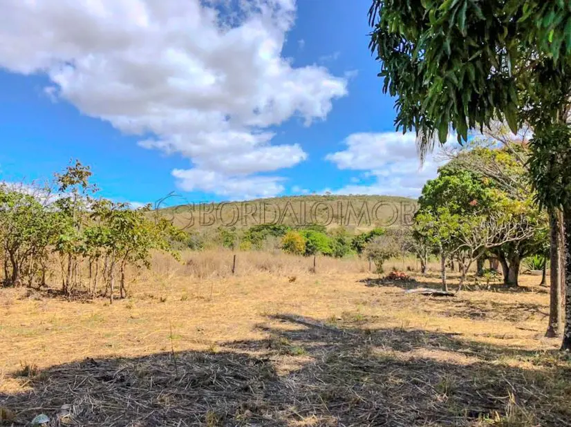 VILLA151247 - Última atualização: 17/07/26 23:31 FAZENDA CANA BRAVA Flores de Go...