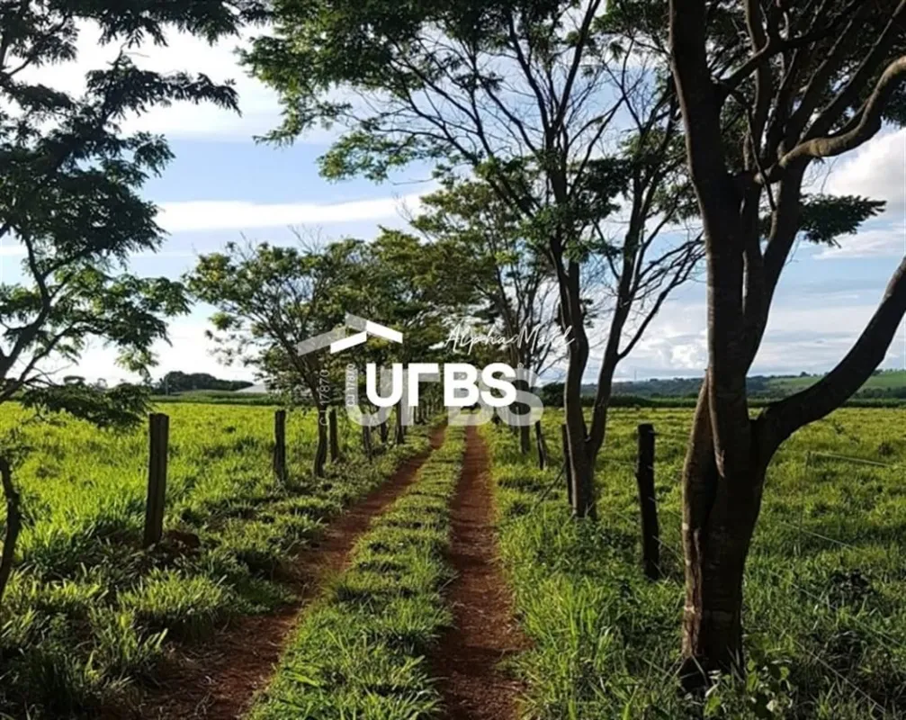 COD U-0020157 - Sítio em PiracanjubaExcelente investimento na maior bacia leitei...