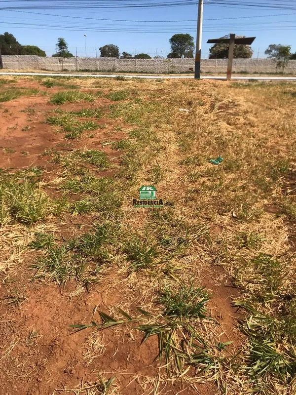 Lote Avenida Pedro Ludovico- 1.200m²- 24 X 50 11/05/25