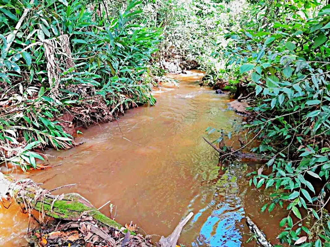 CHÁCARA À VENDA, CONDOMÍNIO LAGES (FAZENDA LAGES), EM BONFINÓPOLIS, GOIÁS, TAMAN...