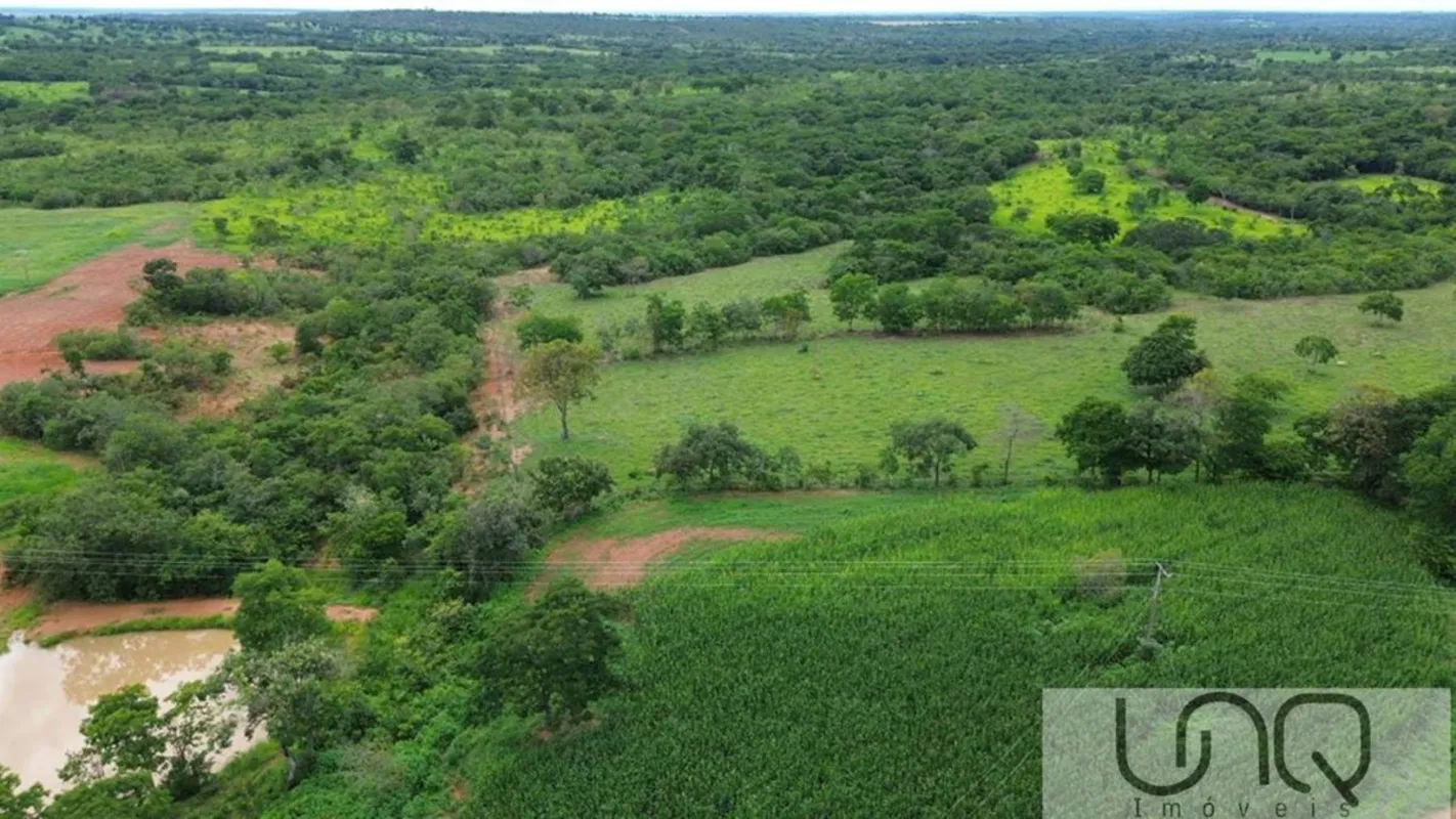 UNQ VENDEFazenda na região de João Pinheiro MGA fazenda tem 217 hectares bem loc...
