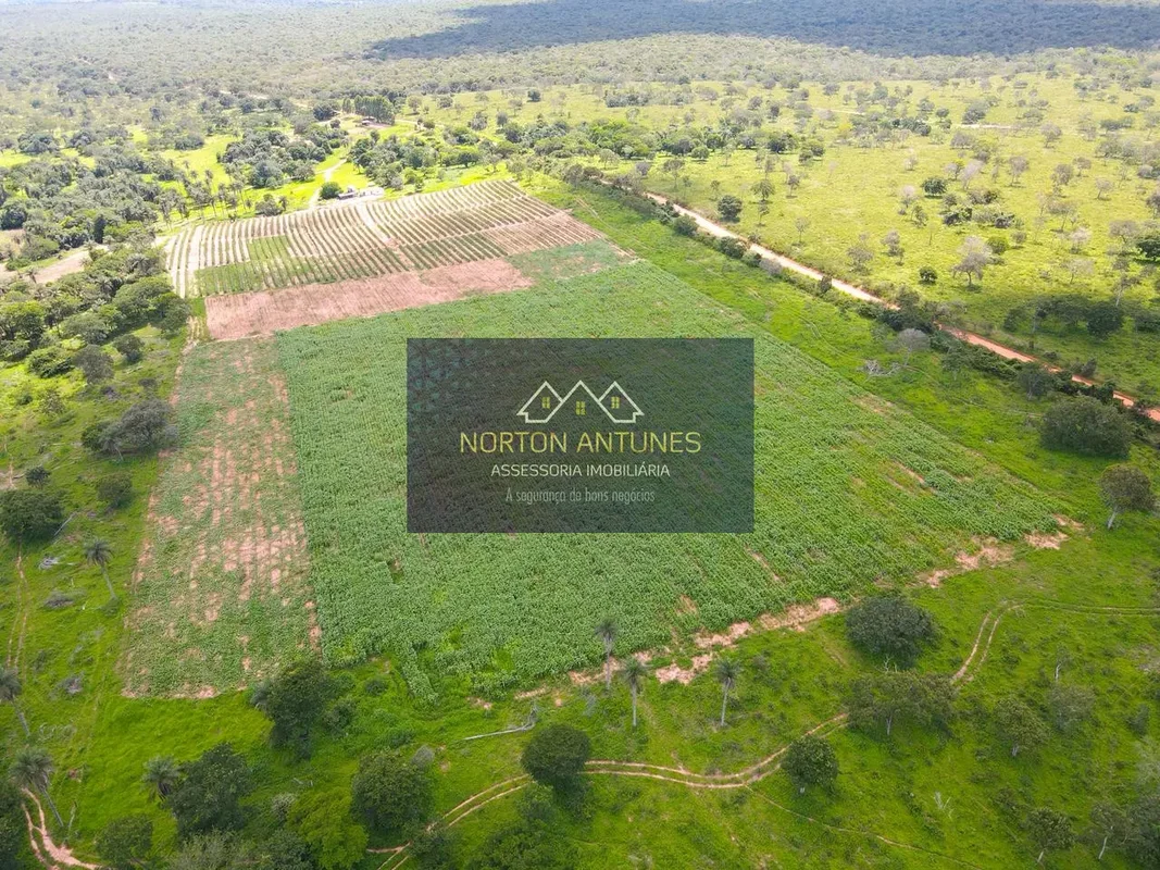 NORTON VENDE!Fazenda à Venda no Norte de Minas GeraisÁgua Outorgada e Altitude I...