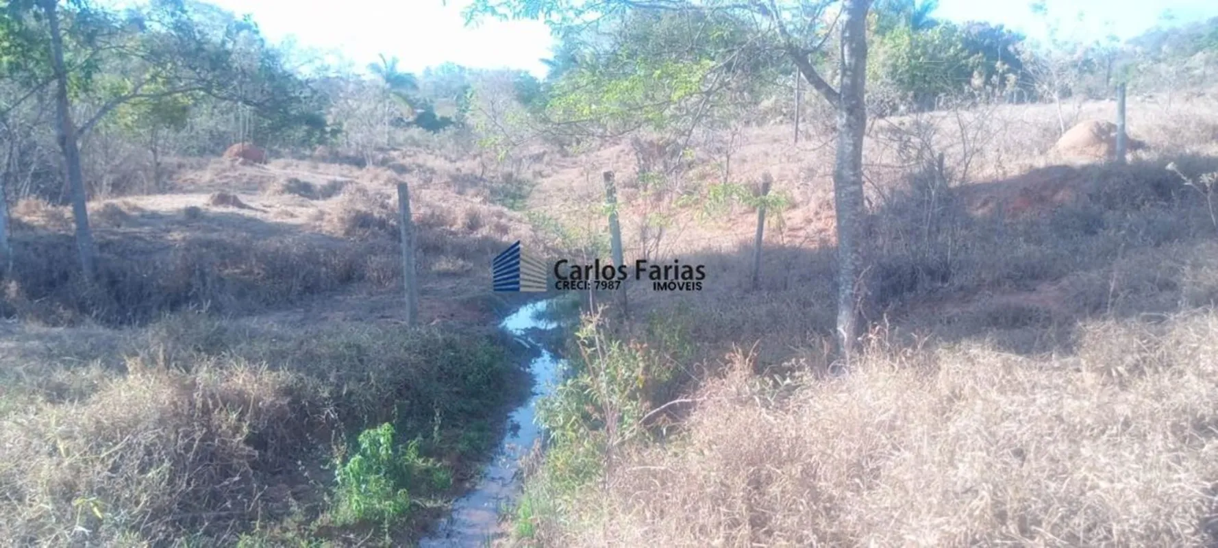Chácara à Venda BR-251 Nova Betânia 20.000m² Ótima oportunidade para investir ou...