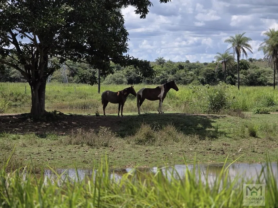 CHÁCARA ENCANTADORA 10,08 HECTARES - PLANALTINADF (ZONA RURAL) CHÁCARA À VENDA P...