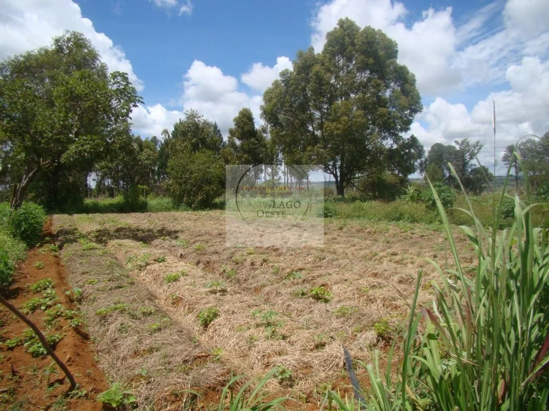 ÓTIMA CHÁCARA NO LAGO OESTEToda plana, em terreno de 25.000 m2, próximo à pista ...