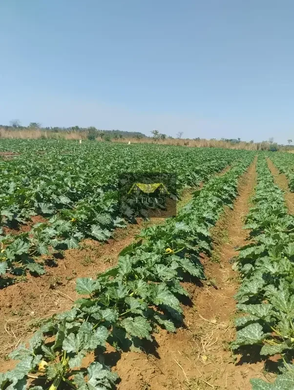 Descubra uma charmosa chácara rural na Rodovia DF 220, em Brazlândia, DF, perfei...