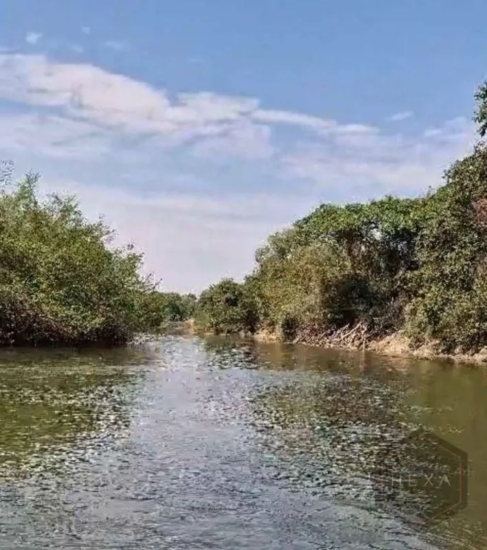 CHÁCARA À VENDA MARIPOTABA/GO A apenas 90 km de Goiânia saída do GaraveloSe você...