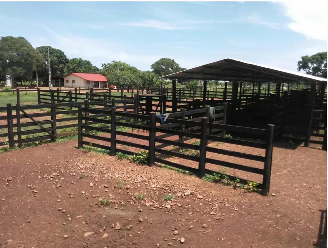 OPORTUNIDADE FAZENDA PRONTA PARA OPERAÇÃO Área Total • 242 alqueires.• 150 alque...