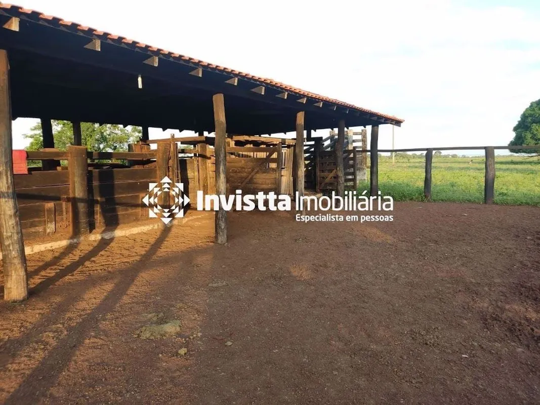 Área total: 1.450 Hectares (300 Alqueires)Área Aberta: 900 Hectares (200 Alqueir...