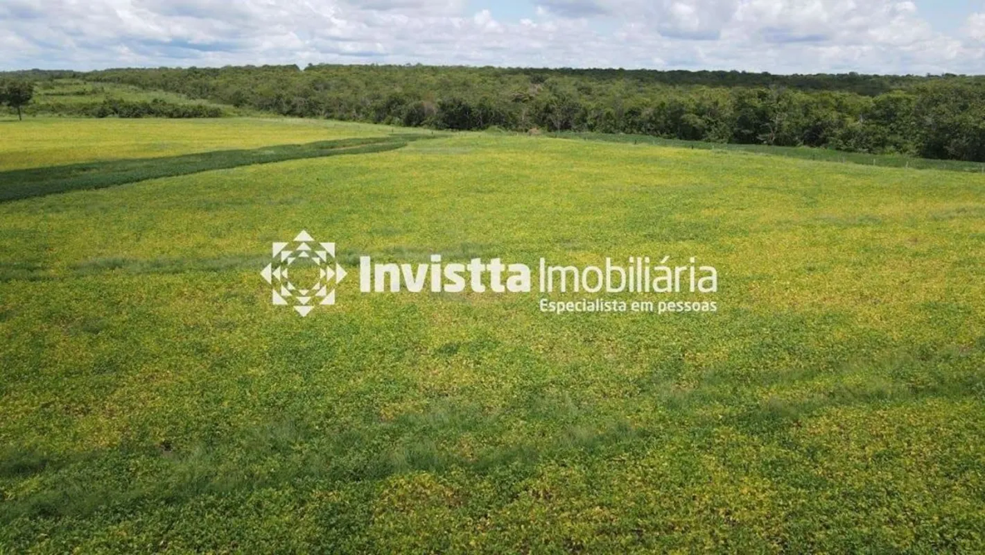 Fazenda de 445 alqueires ou 2153 hectares800 hectares plantando soja à 6 anos290...