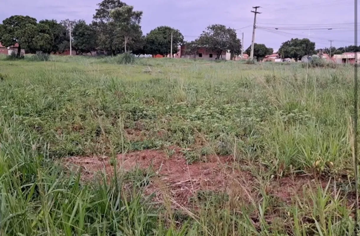 Lotes Comerciais e Residenciais em Taquarussul e PalmasGaranta seu espaço em reg...