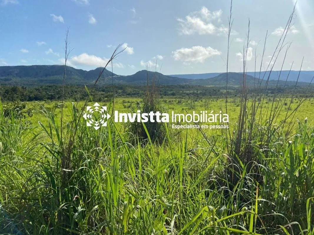 Área total: 1.000 Hectares (200 alqueires) 450 Hectares agricultáveis Area Abert...