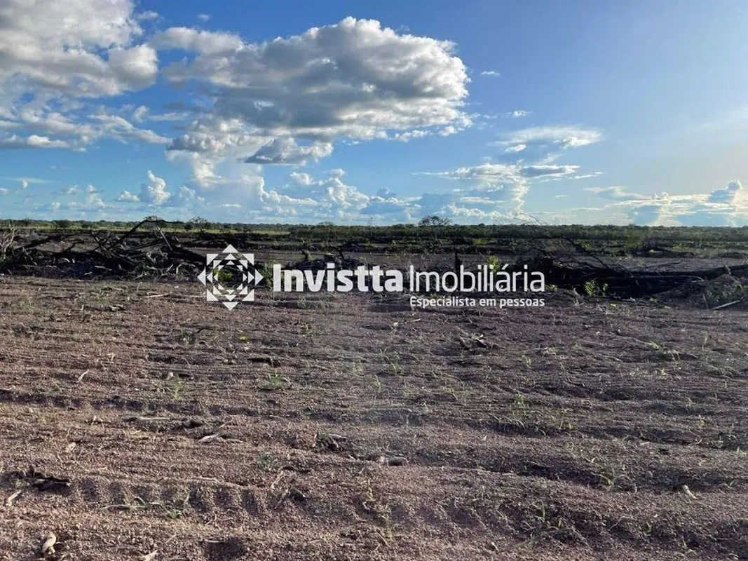 Fazenda no Vale do Araguaia - TOÁrea total: 1.280 Hectares (265 alqueires)Area a...