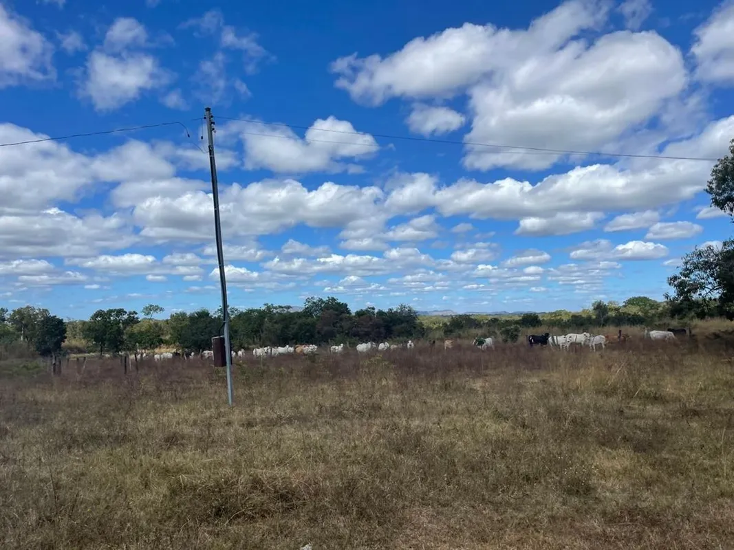 FAZENDA EM ALMAS-TO.Area Total 4.350 HA (900 Alqueires) TERRA BRUTA PLANA Próxim...