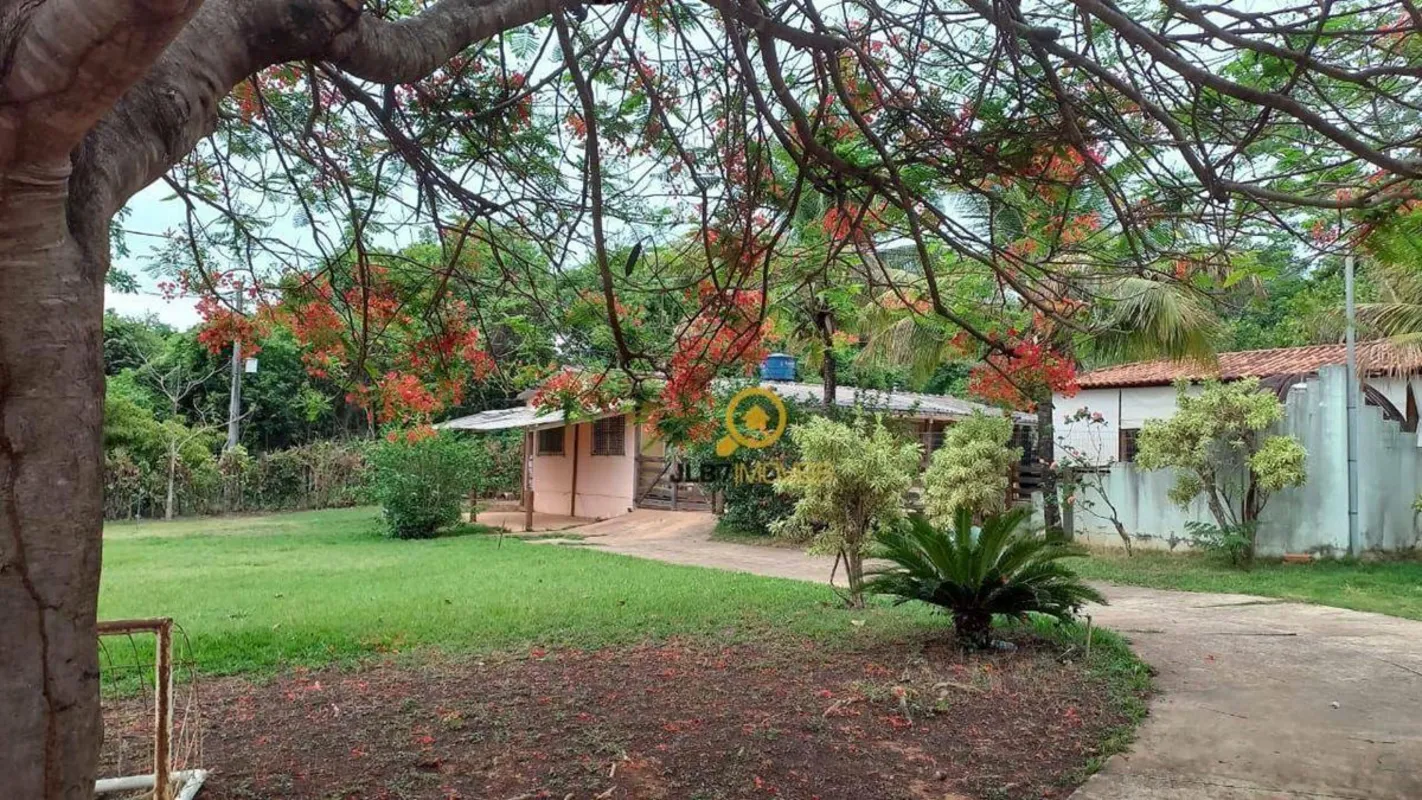 Oportunidade Única: Chácara dos Sonhos na GO-020, em Frente à Granja JozithiteDe...