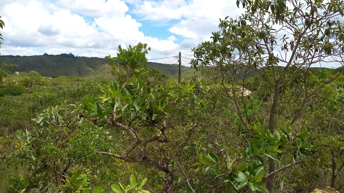 Solar Da Serra Qd O Lote 7 com 1.800m² Lindo Lote com 1.800m2, todo edificável, ...