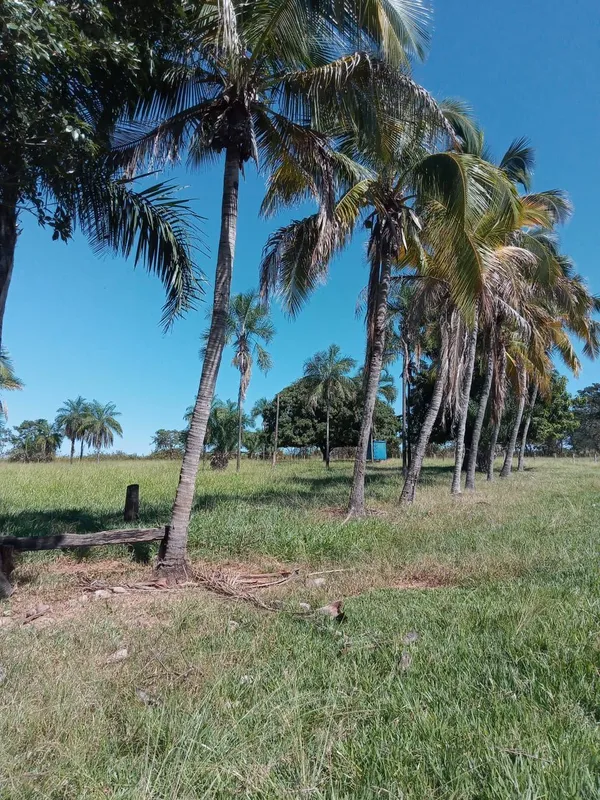 Vendo uma chácara no município de Guapo-Go.Sendo 3,59 alqueires toda formada e d...