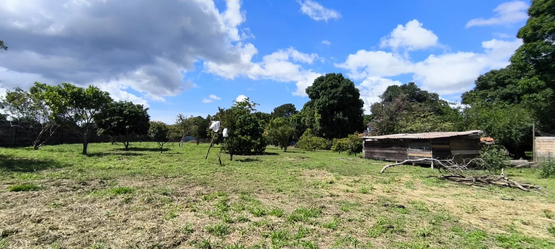 Excelente Chacara 10 mil m², escritura e registrada! Muita arvore frutífera, cas...