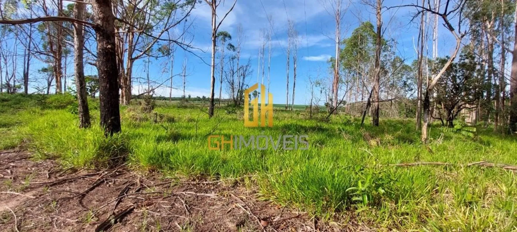 CH0046FAZENDA A VENDA: 12 Alqueires (60 HA) Área Total Documentação Ok(CAR E GEO...
