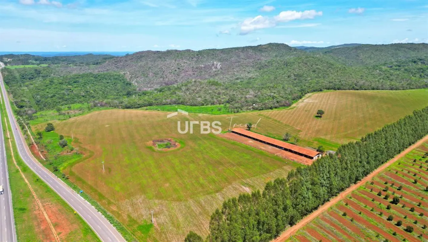 COD U-0019532 - Fazenda com Dupla Aptidão em Goiás: Invista em um Negócio Promis...