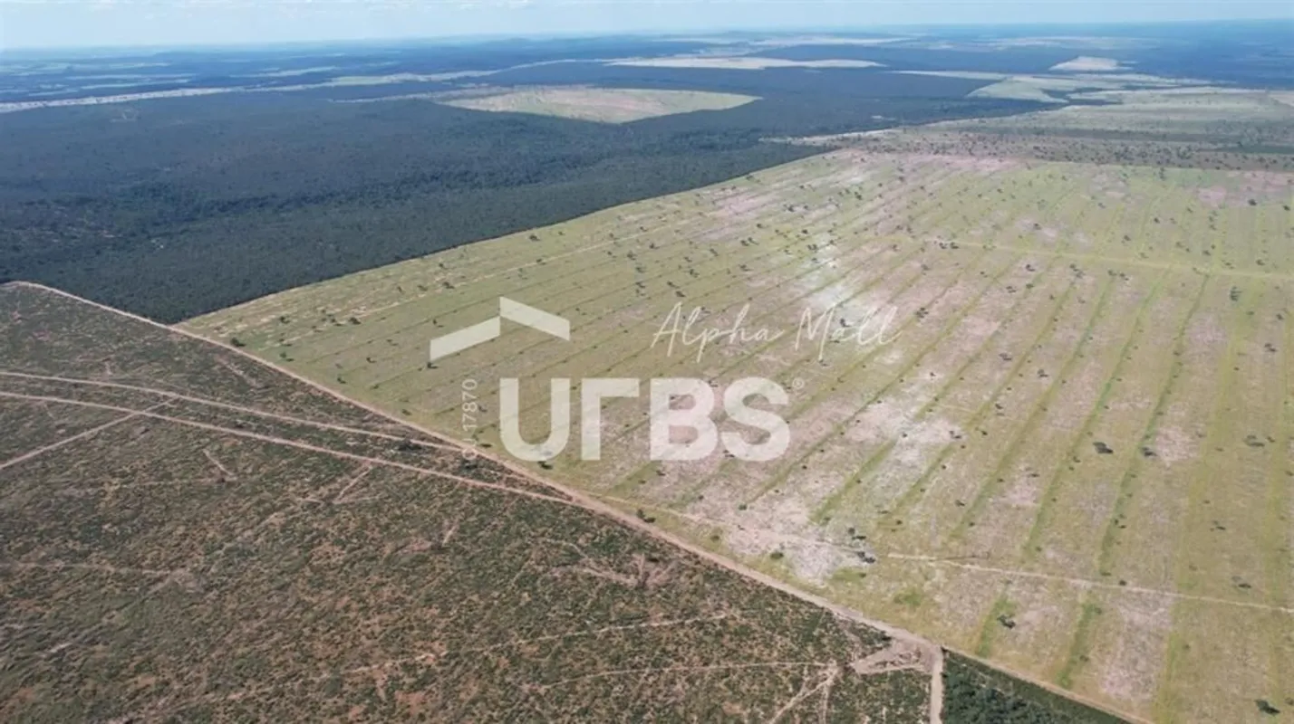 COD U-0028614 - A Fazenda Paranatinga possui 4.532 hectares, dos quais 2800 hect...