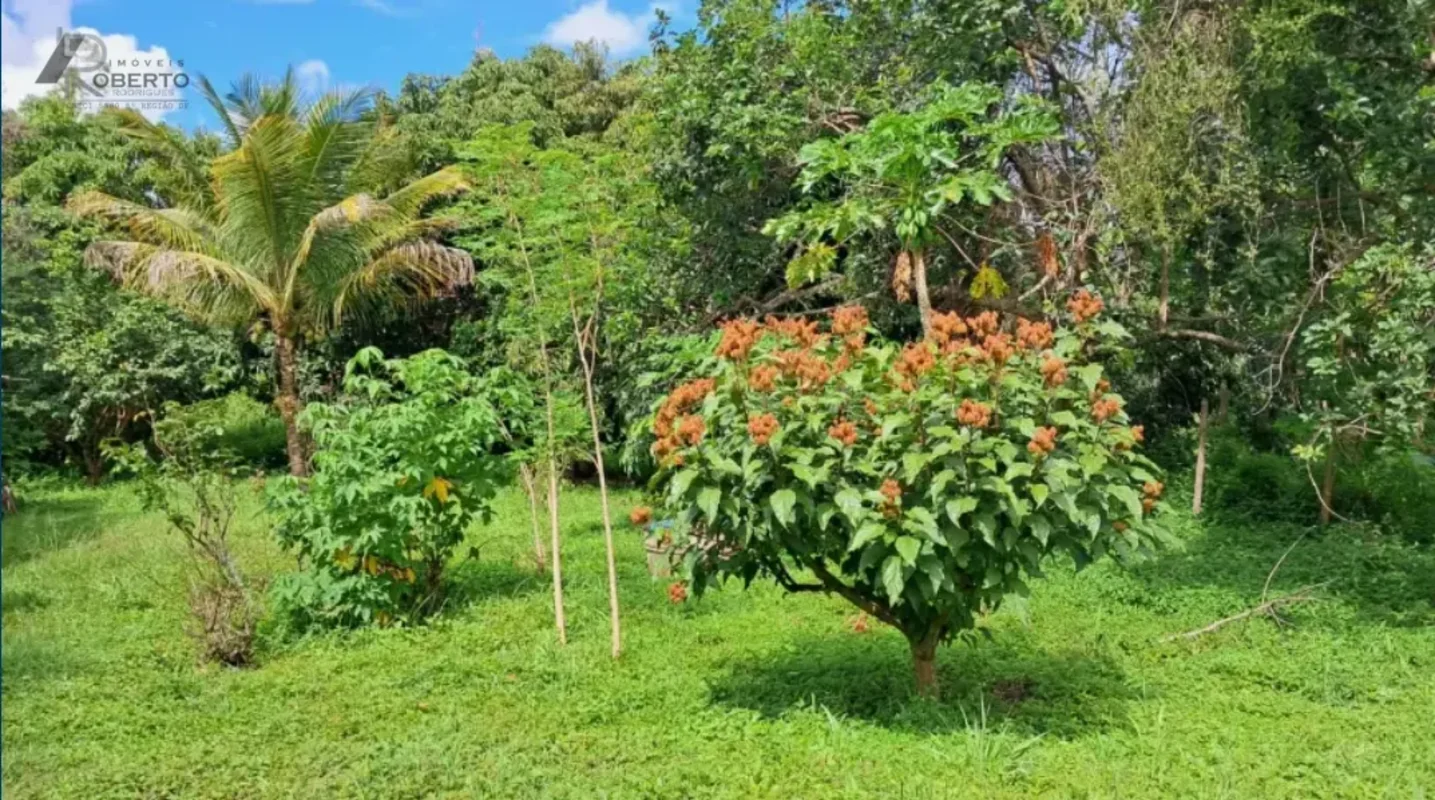 Planaltina de Goiás, Córrego Rico, Vendo Sítio, 44 HectaresÁgua vem por Gravidad...