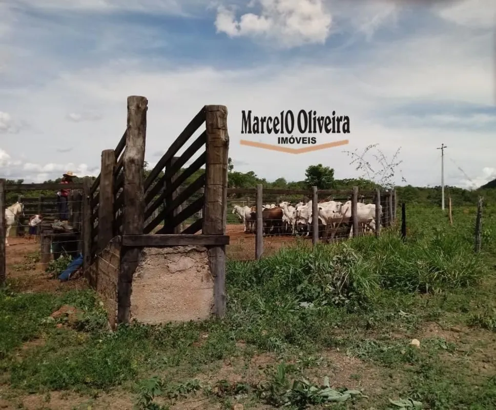Fazenda à venda em Padre Bernardo de 150 alqueires, preservada, e 12 km do Asfal...