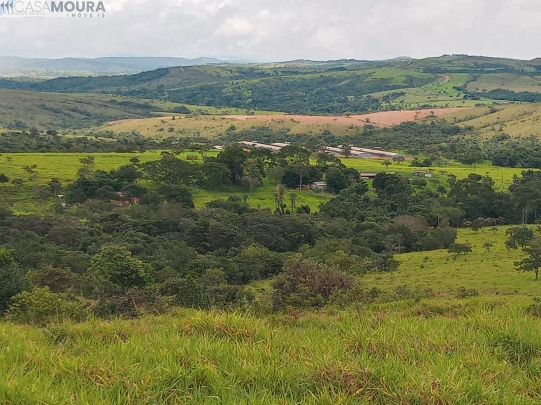 GRANJA ATIVA COM TODAS AS INSTALAÇÕES EM PERFEITO ESTADO E PRODUZINDO!Oportunida...
