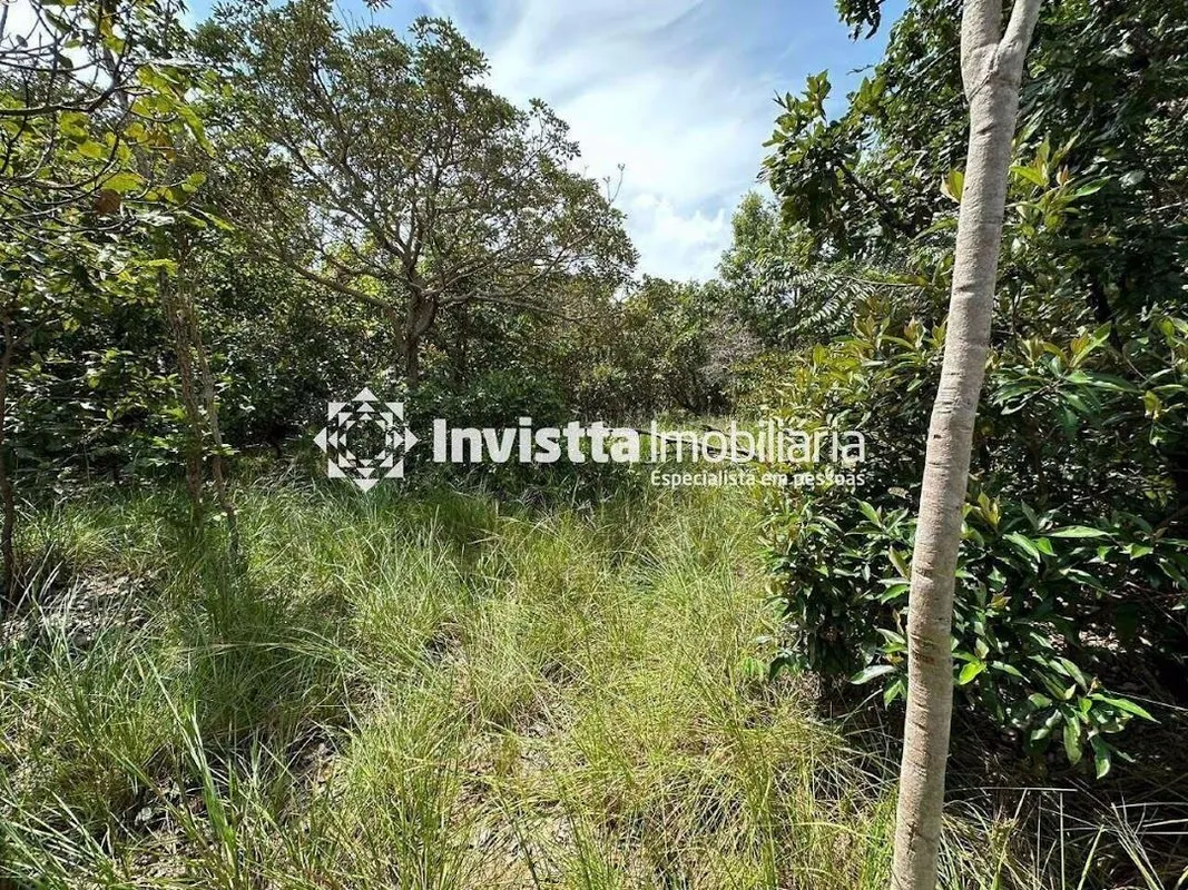 Oportunidade Única! Fica em frente o Condomínio Caribe. Área total de 3.735.00 m...