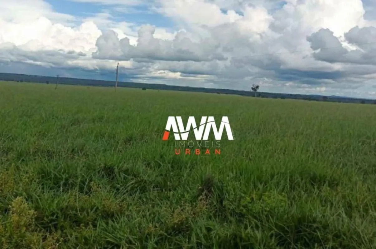 FA0320Captador RogérioFazenda em Barra do Garças MTA melhor Fazenda da Regiao 25...