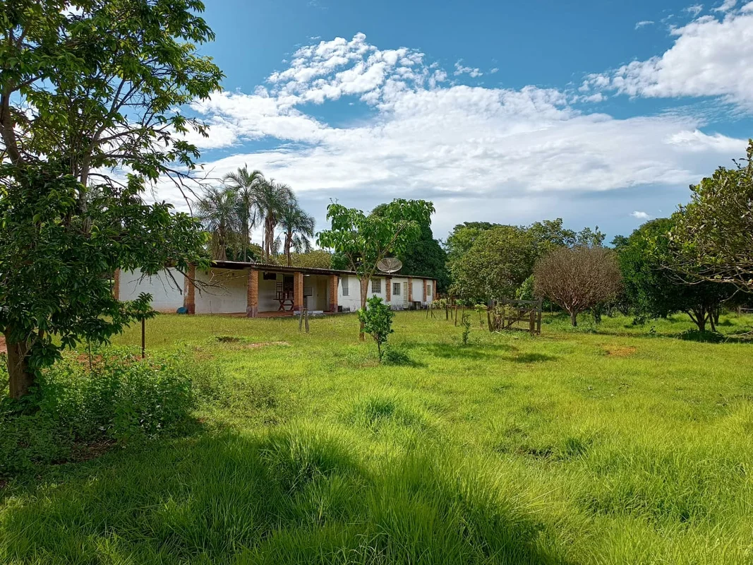 São 18 hectares, toda formada no brashiaria, e massai. Tem 2 capineiras ( capiaç...