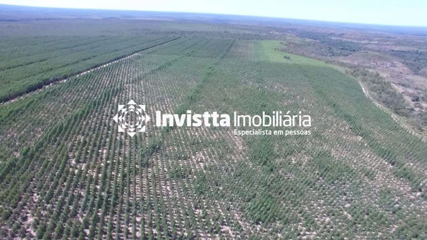 Área total: 1050Hectares (215 Alqueires)Área aberta: 360 Hectares (74 Alqueires)...