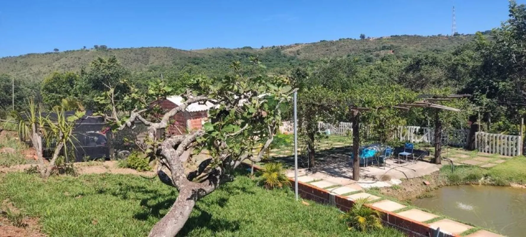 Resumo;1. Escriturada2. 37 mil metros3. Pomar diversificado contendo, 35 pes de ...