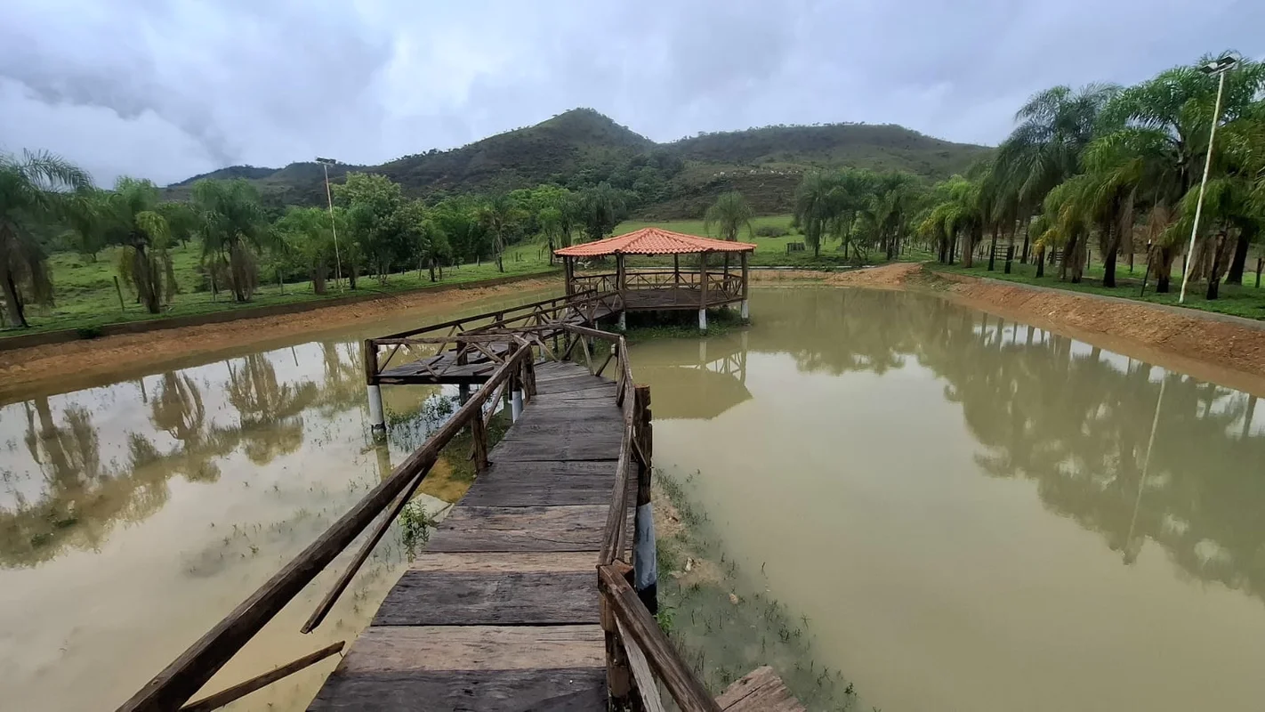Sítio de 53 Hectares completo e rico em água, toda na cultura,Toda formada, com ...