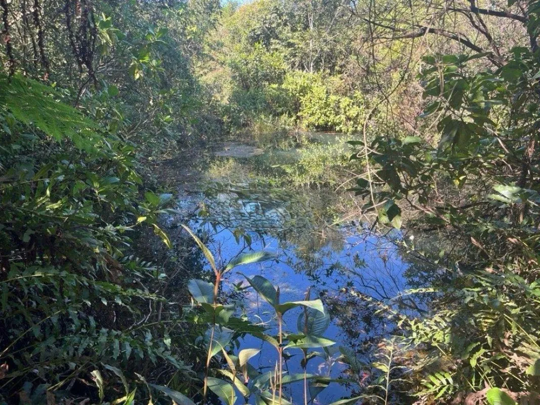Oásis de Águas Cristalinas a 40 min de Brasília, 3,63 Hectares na DF-495 (Escrit...