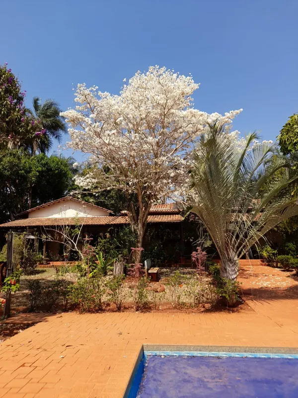 Tem casa com 5 suítes, cozinha e copa, sala grande, lavabo, área na frente e fun...