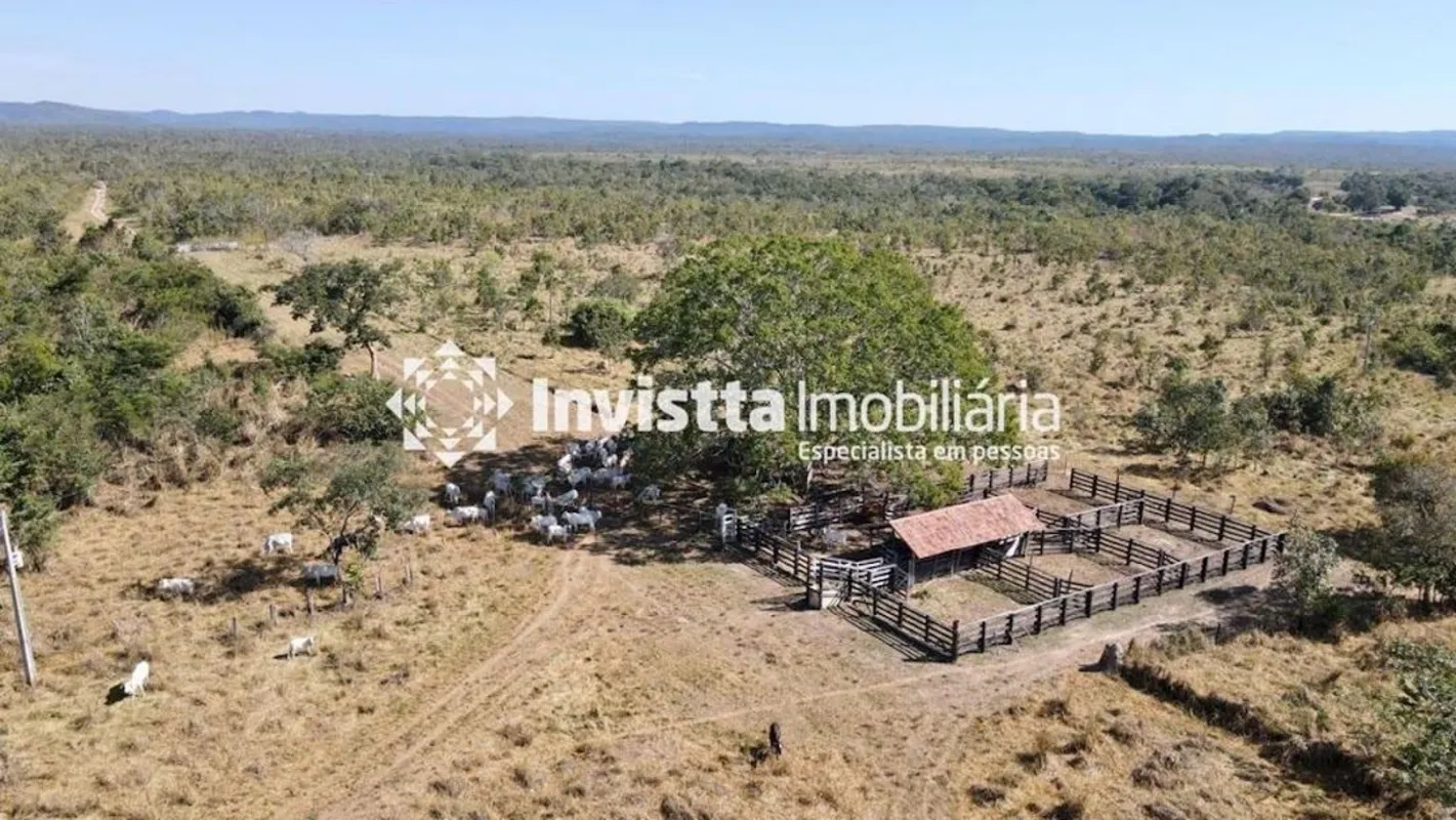 Fazenda à venda, 1000 Hectares em Almas/TOÁrea total: 1000 haArea Aberta: 50 ha ...