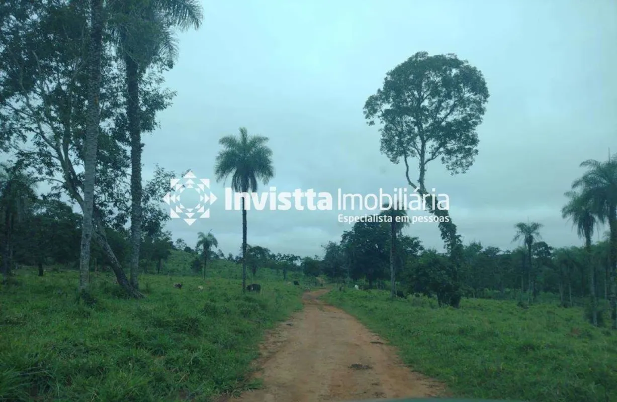 Fazenda à Venda - Setor Central, Paraíso do Tocantins/TO Localização: Entre Palm...